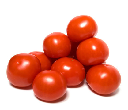 白底紅番茄