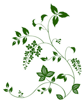 花與藤圖案