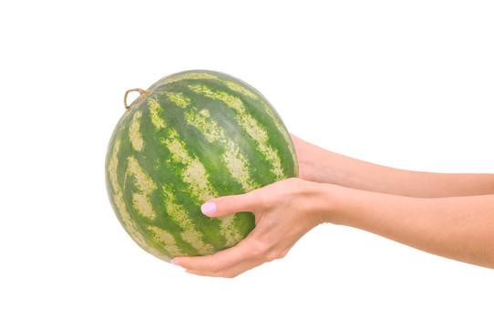 西瓜