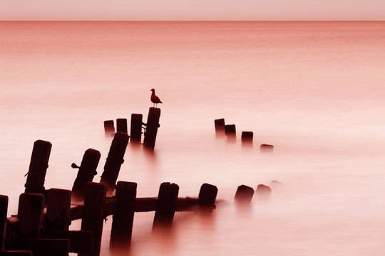 海上日出；Norfolk