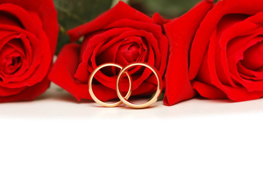 兩枚結(jié)婚戒指和白色的紅玫瑰