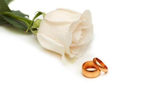 白色的玫瑰和白色的結婚戒指