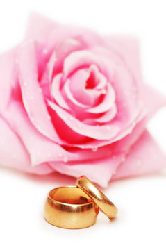 兩個結婚戒指和玫瑰在后臺