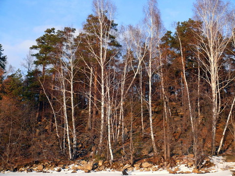 冬季景觀