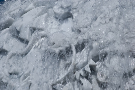 水龍