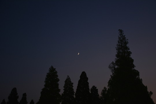 北京天壇公園的月夜