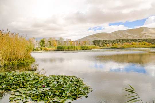 秋景