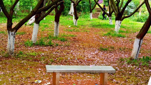公園石凳