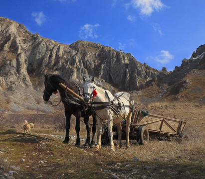 馬和山