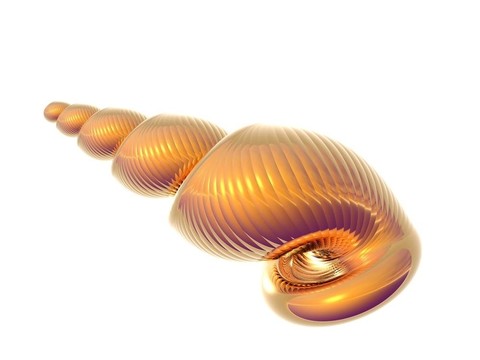金殼