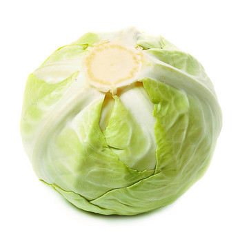 甘藍全頭