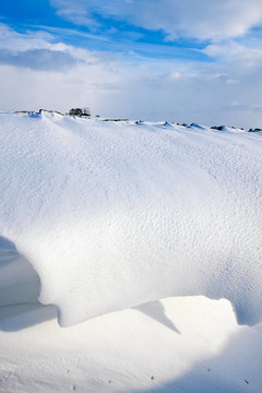 溝里的雪