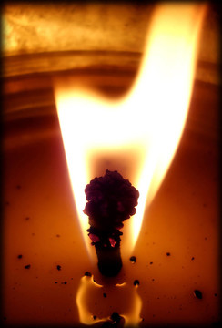 香茅蠟燭