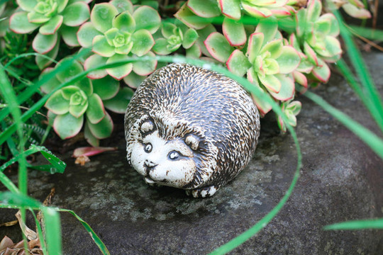 刺猬裝飾。