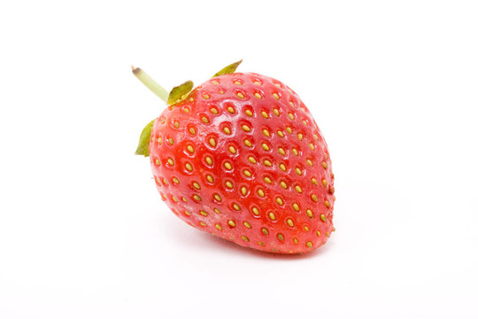 草莓