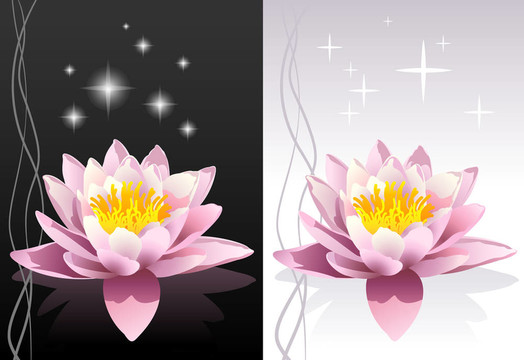 向量的蓮花