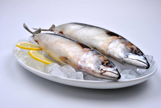 在一個(gè)冰白板兩鯖魚