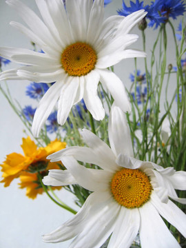 一束鮮花