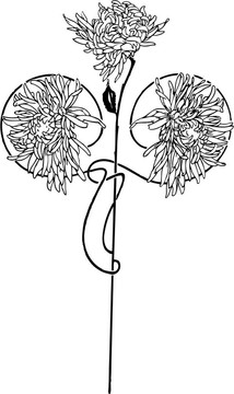 花卉裝飾藝術(shù)