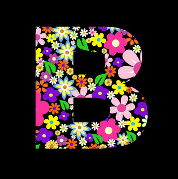 向量花字體；字母B