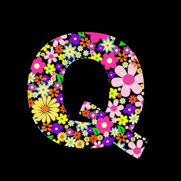 向量花字體；字母Q