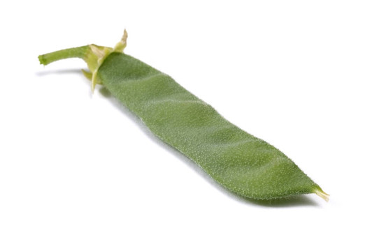 豆