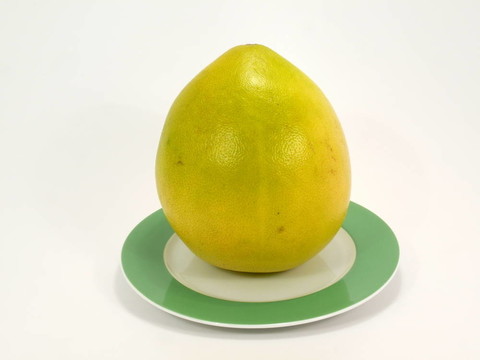 柚子