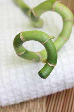 竹集設(shè)計(jì)