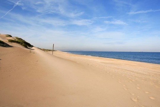 地中海海岸沙丘