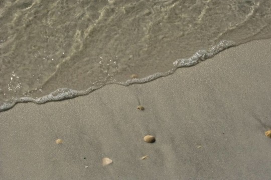 海在沙