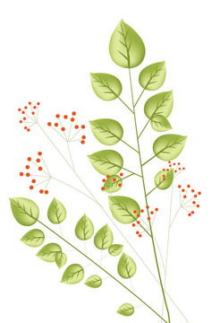 植物和紅色漿果