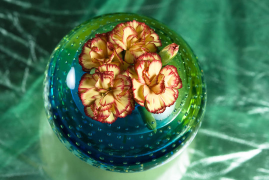 Pink Flowers在一個(gè)花瓶里
