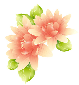 粉紅色的花