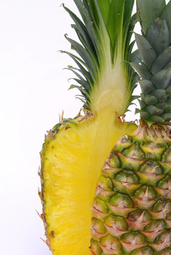 菠蘿1