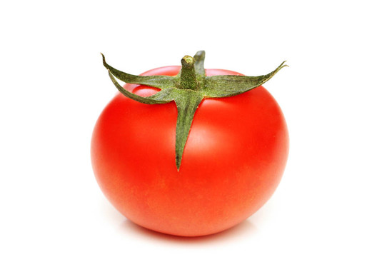 白底紅番茄