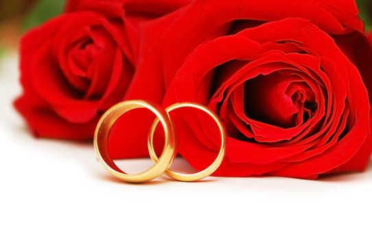 兩枚結(jié)婚戒指和白色的紅玫瑰
