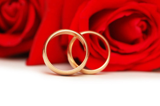兩枚結(jié)婚戒指和白色的紅玫瑰