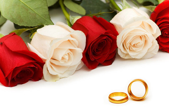 白色的玫瑰和結(jié)婚戒指