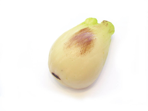 杏仁蛋糕。