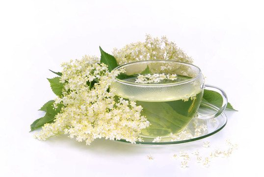 茶長老花05