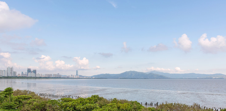 深圳灣