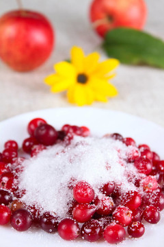 Cowberry在糖白菜與蘋(píng)果花