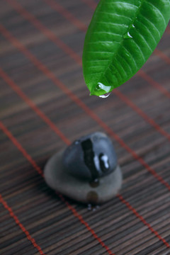 礦泉石和綠葉水滴