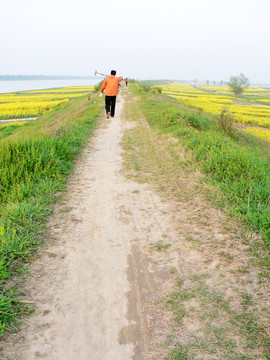 扛鋤頭走在鄉(xiāng)土路上的農(nóng)民