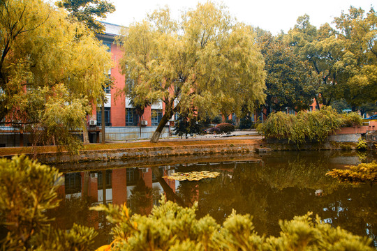 湖南大學(xué)