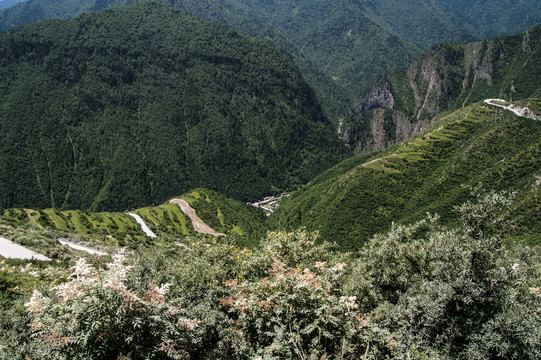 迭部縣迭山