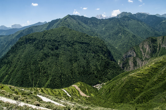 迭部縣迭山