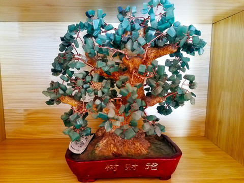 招財(cái)樹 發(fā)財(cái)樹 搖錢樹