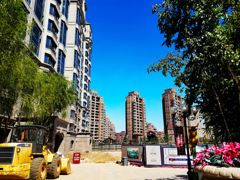 綠化工地 小區(qū)綠化 樓群