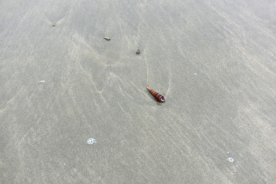 沙灘風(fēng)光